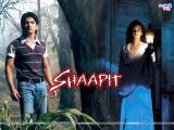 Shaapit (2010)